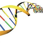 ADVANCE MOLECULAR & CYTOGENETICS